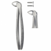 TOOTH FORCEPS FOR CHILDREN
